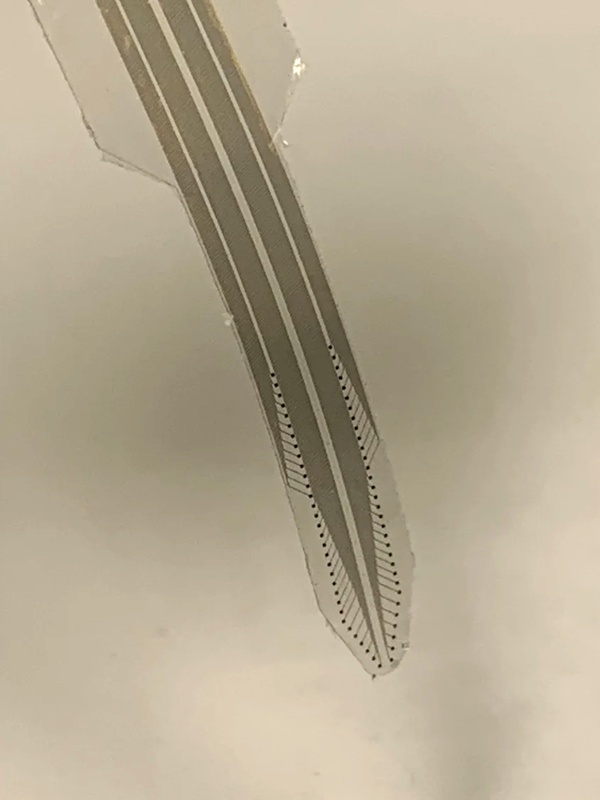 Multi-point ECoG Recording Sheet